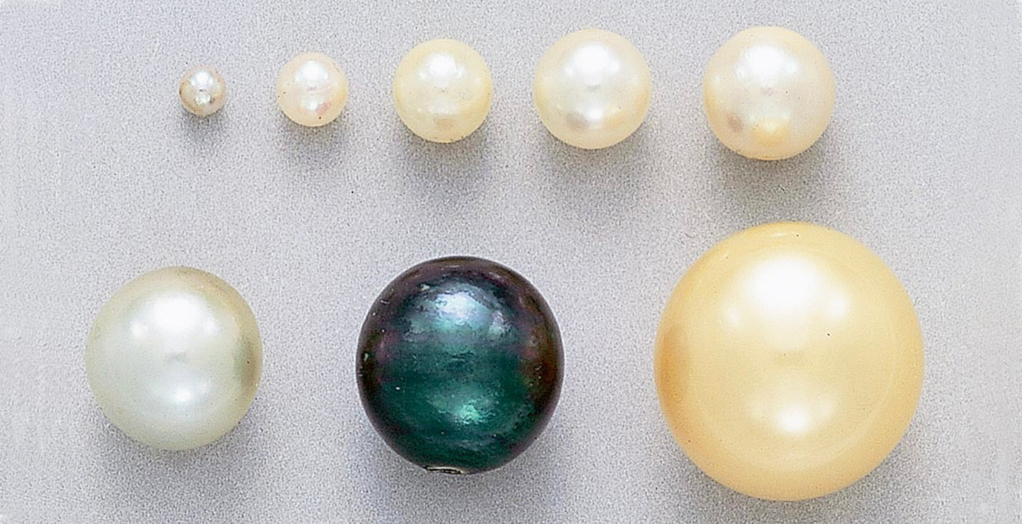 The Journey of the Pearl