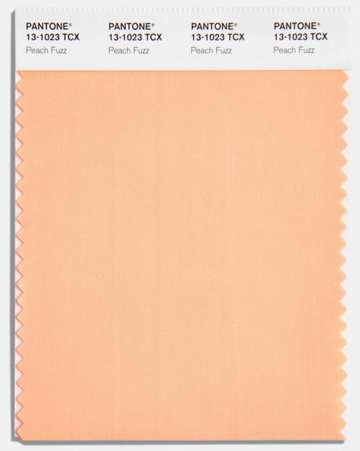 Pantone's Colour of The Year 2024: Peach Fuzz