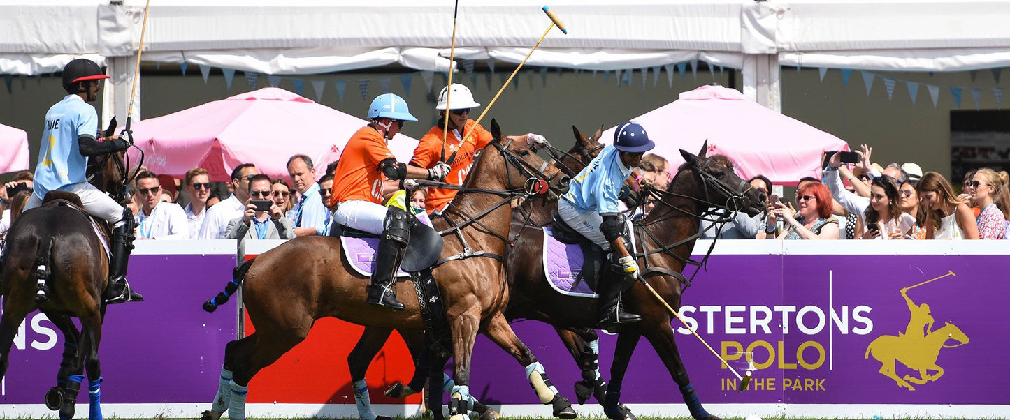 CHESTERTON'S POLO IN THE PARK